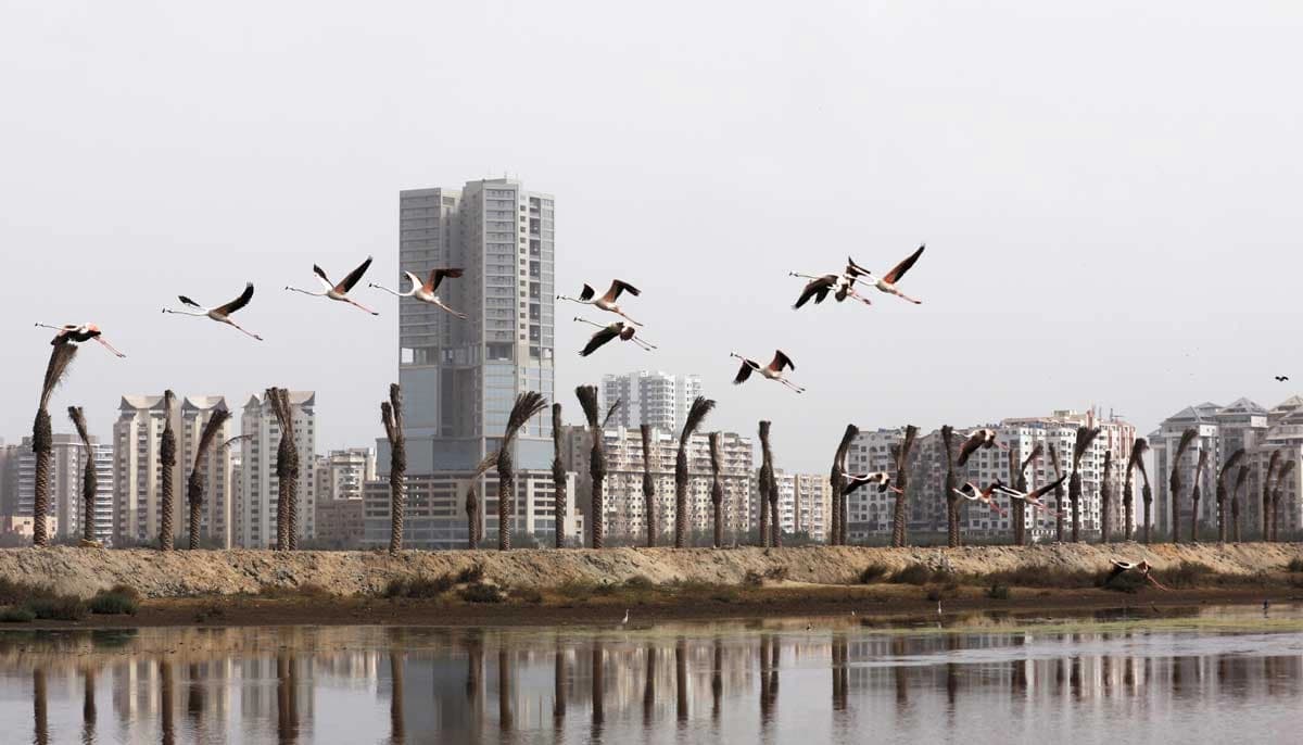 Emerging Neighborhoods: 5 Karachi Areas Set to Boom in 2025 - Investment Hotspots Before the Crowd