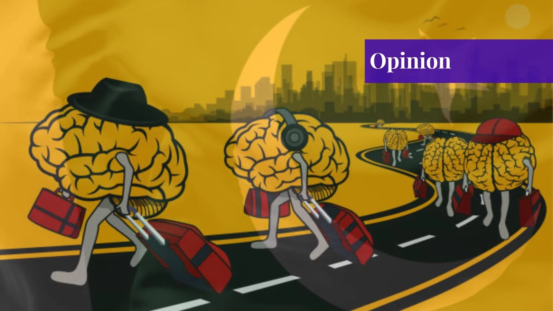 Pakistan's Brain Drain Paradox: 800,000 Leave, But They're the Ones Buying All the Properties